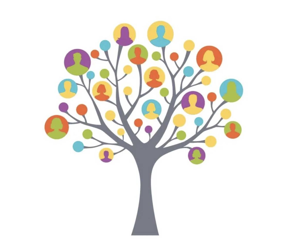 Tree illustration from Lived Experience Workforce Program (LEWP) Lived Experience Workforce Program (LEWP)